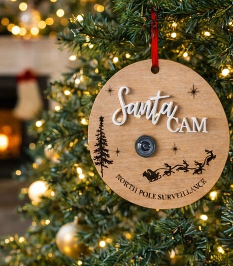 North Pole surveillance camera