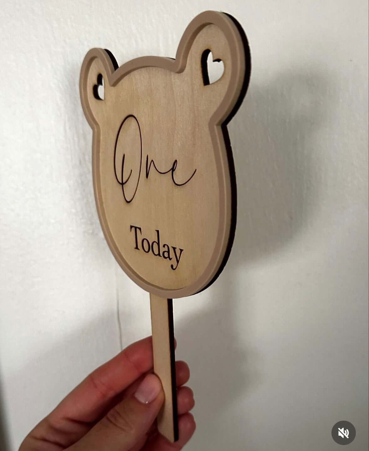 Wooden Teddy Bear Unisex Milestone Discs with Nude Acrylic Edging and Monthly Engravings