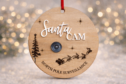 North Pole surveillance camera