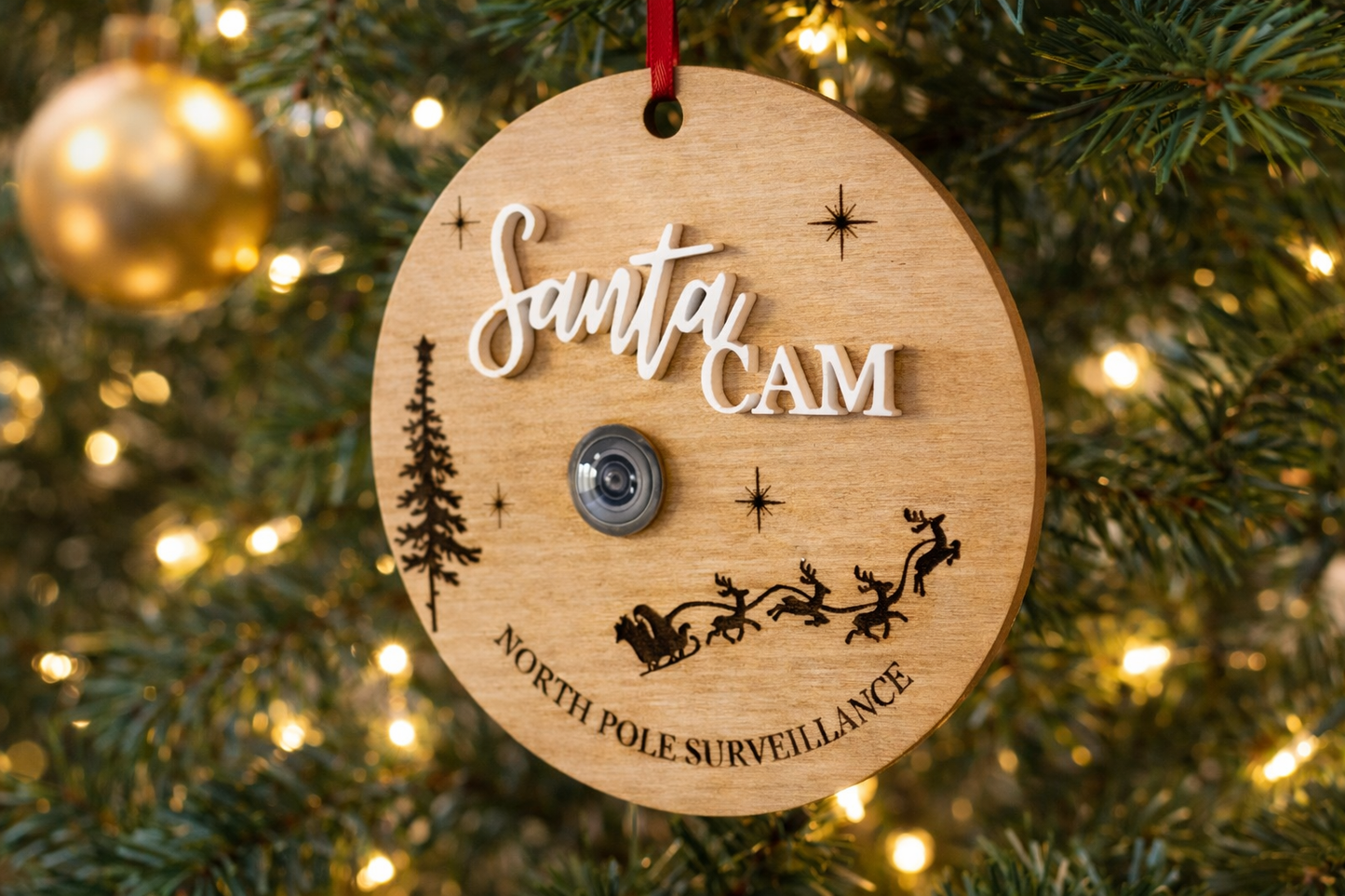 North Pole surveillance camera