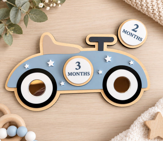 Vintage car baby milestone disc set with interchangeable monthly markers